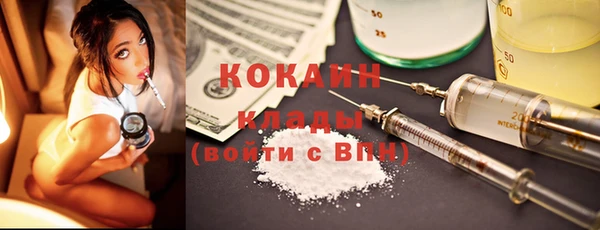 дмт Няндома
