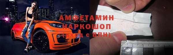 индика Абинск