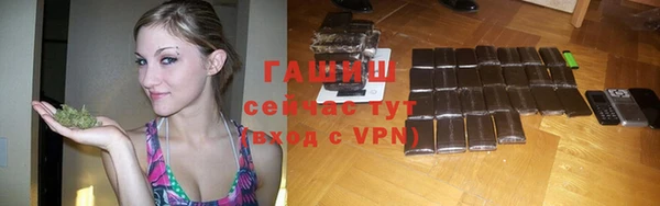 индика Абинск