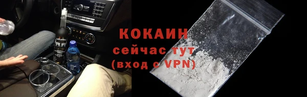 индика Абинск