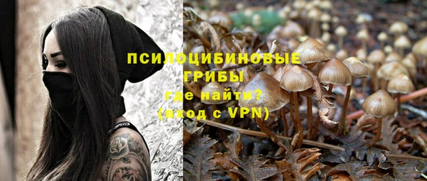 индика Абинск