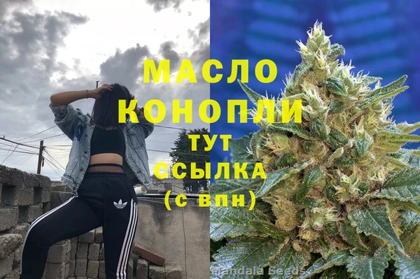 индика Абинск