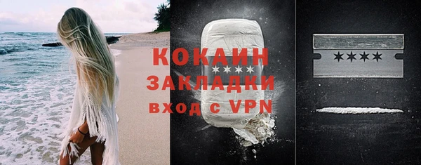 индика Абинск