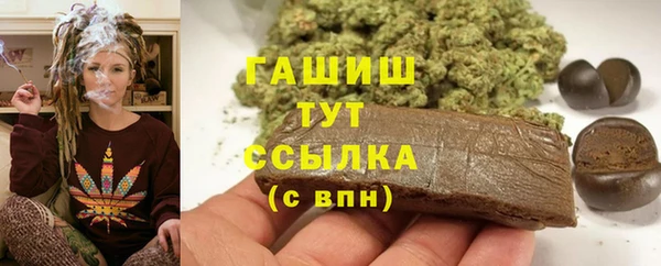 индика Абинск