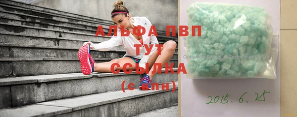 индика Абинск