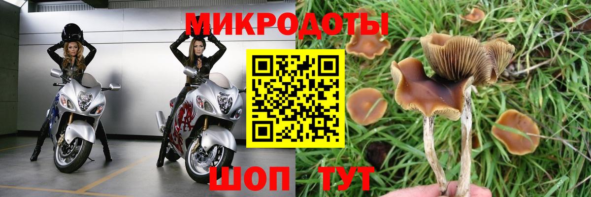Псилоцибиновые грибы мухоморы  Псилоцибиновые грибы GOLDEN TEACHER  где купить   Смоленск  Вход с VPN 